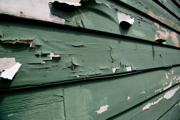 Best Hoarding Cleanup  in Cut Off, LA