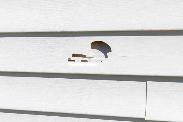 Best Property Management Cleanouts  in Cut Off, LA