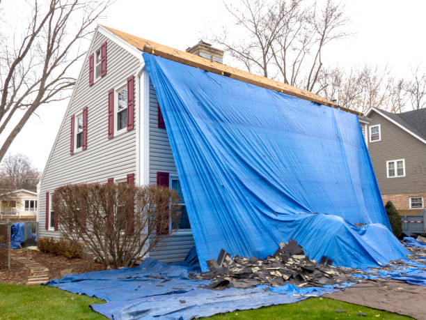 Best Shed Removal  in Cut Off, LA